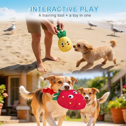 BEAUTYZOO Floating Dog Pool Toys 2 Pack,Squeaky Water Fetch Toys for Summer