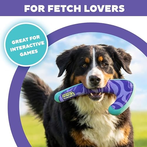 Outward Hound FlyFetch Boomerang Dog Toy, Lightweight Foam Core, Rubber Rim, Floats in Water, All Breeds, 11"