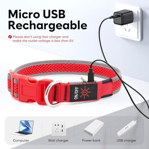 Flashseen LED Dog Collar, Light Up Dog Collar USB Rechargeable, Red, L