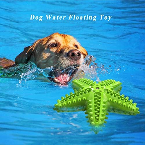 Squeaky Dog Toys - Starfish Natural Teeth Cleaning Toy for Small & Medium Dogs (Green)