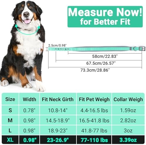Segarty Reflective Green Dog Collar, Adjustable Wide Soft Comfortable Breathable Neoprene Padded Nylon Collar with Heavy Duty Metal Buckle for Extra Large Breeds (XL, Green)