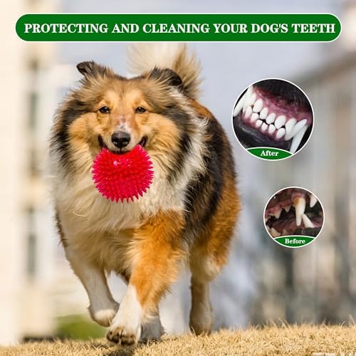 4.5″ Squeaky Dog Balls 4 Color Dog Toys Balls for Medium Large Dogs Pet Puppy Chew Toys for Teething No Odor Durable Spiky Balls for Teeth Cleaning and Training for Large Dogs (Large)