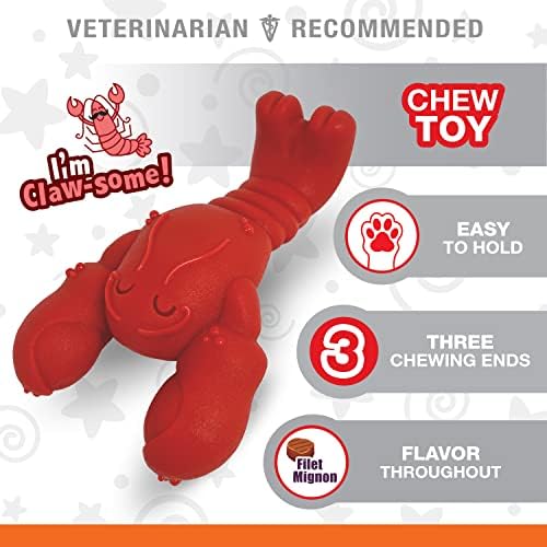 Nylabone Lobster Power Chew Toy for Dogs, Dog Toys for Aggressive Chewers