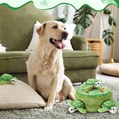 Squeaky Dog Toy Interactive Plush Hide and Seek, Turtle
