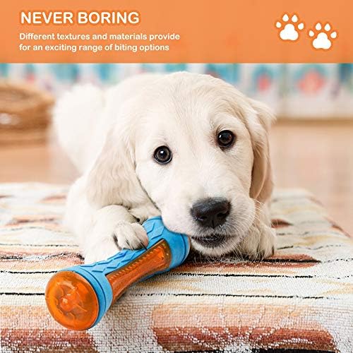 Dog Squeaky Pool Toys, Floating Interactive Fetch & Play for Beach, TPR