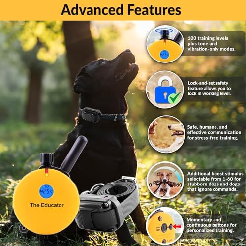 E-Collar Educator ET-400 Dog Training Collar with Remote, Yellow