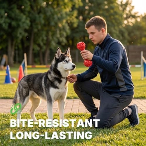Dog Toys for Aggressive Chewers, Dog Chew Toys, Dog Bone Toys for Small Doy