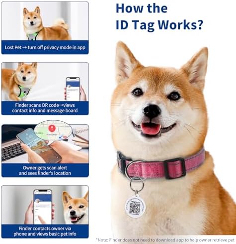 Reflective Dog Collar for Medium Dogs with Dog Tags Personalized & Quick Release Buckle, Adjustable and Comfortable Nylon Pet Collar, Hot Pink | Reflective Dog Collar with Smart QR ID Tag for Girl Dogs, Quick Release Buckle, Adjustable and Comfortable ...
