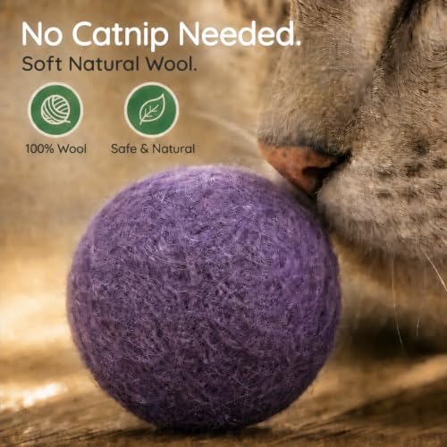 Wool Cat Toys - Felt Cat Toy Balls for Small Pet Fetch and Play - Eco Friendly Quiet Wool Ball Cat Toy for Cats and Kittens - Choose Your Colors 6PCS (Purple)