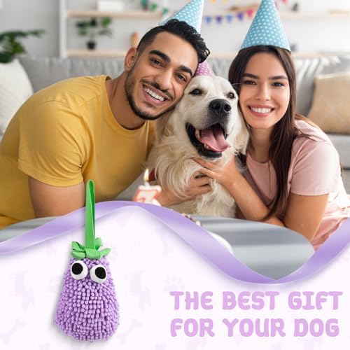 Squeaky Plush Dog Toy, Tug of War Dog Toy with Squeaker, Dog Chew Toys for Interactive Playing, Puppy Training Pull Toy Small Medium Breeds (Green)