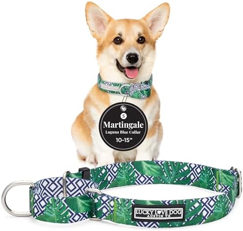 Lucky Love Dog Martingale Collar for Small Dogs Cute – Blue Laguna, Small
