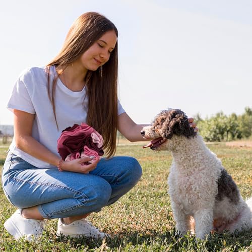 Andiker 5.9" Snuffle Ball for Dogs, Plush Colorful Interactive Snuffle Ball Hide Treat Dog Puzzle Toy for Relieving Boredom and Training Machine Washable Dog Balls for Small Dogs (Pink, L)