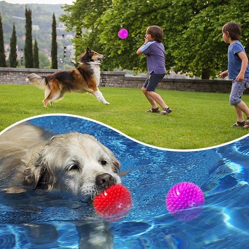 2 Pack 4.5” Squeaky Dog Balls for Large and Medium Dogs, Spiky Dog Toy Balls for Aggressive Chewers