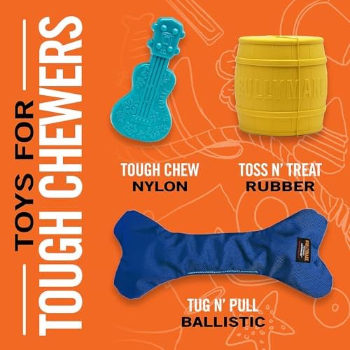 BULLYMAKE Tough Chew Controller Dog Toy, Durable Nylon, Aggressive Chewers
