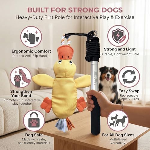 Flirt Pole for Dogs Heavy Duty 35 Inch Teaser Wand with Duck Toy