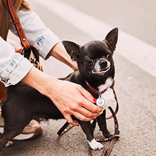 QR Code Dog Tag Personalized Pet Id Silent Cat Tags Engraved Name Plate with Online Profile («Together Forever»)
