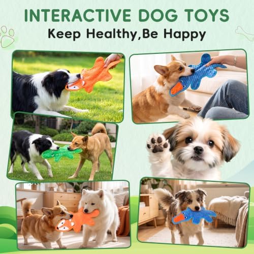 3 Pack No Stuffing Crinkle Durable Squeaky Dog Toys Plush Puppy Chew Toys
