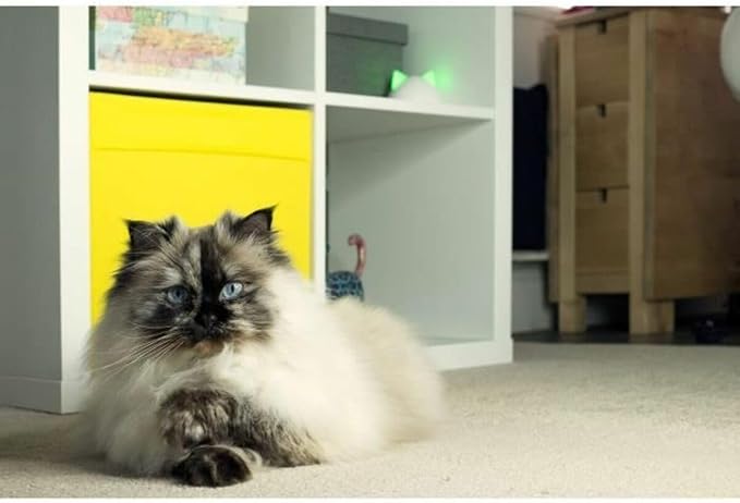 Sure Petcare Hub