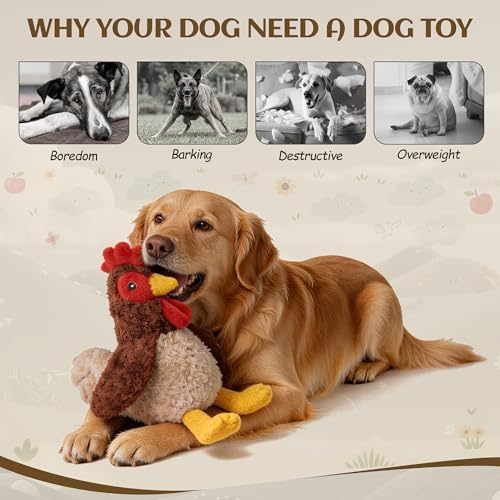 ALL FOR PAWS Chicken Squeaky Dog Toy, Plush Stuffed Animal Toy for Small Medium Large Dogs, Puppy Chew Toy with Squeaker & Crinkle, Interactive Rooster Pet Toy for Boredom Relief & Training