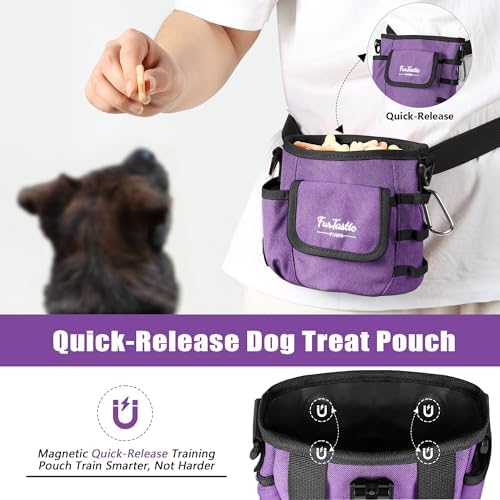 Dog Treat Pouch with Magnetic Closure for Pet Training
