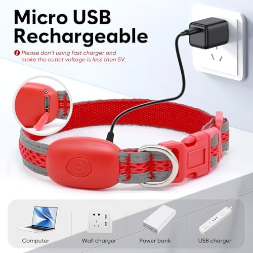 Flashseen LED Dog Collar, Light Up Dog Collar USB Rechargeable, Red, XS