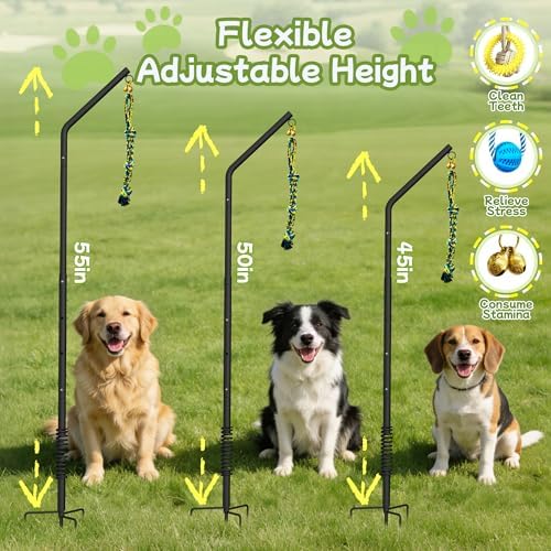 Tether Outdoor Dog Rope Toy with Adjustable Height Spring Pole, 3 Kinds Dog Tug of War Toys for Self Play and Interactive in Park, Yard, Lawn Rope, Suitable for Energetic Dog(69″)