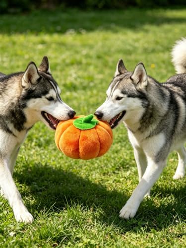 4 Pcs Halloween Squeaky Dog Toy Pumpkin Dog Chew Toys Plush Cat Playing Toys Teeth Grinding Pet Training Toy for Dog Cat Relief Decompression