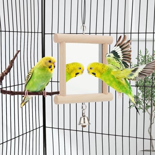 Hypeety Pet Bird Mirror with Bell Interactive Parrot Toy for Small Birds