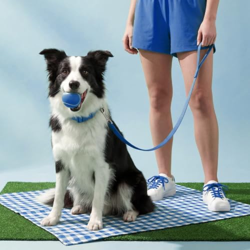 Playology Squeaky Chew Ball Dog Toy - Medium, Hot Dog Scent