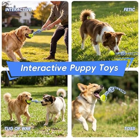 Interactive Tug of War Rope Toy Outdoor Dog Toy with 1 Knot & Tennis Ball
