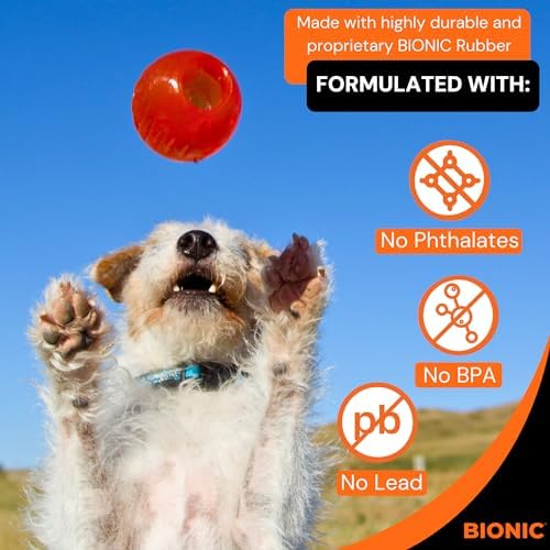 BIONIC Ball Dog Toy for Dogs Up to 20 lbs, Small