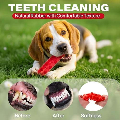 Fida 2-in-1 Puppy Teething Toys, Natural Rubber Chew Toys for Dogs, Chilly