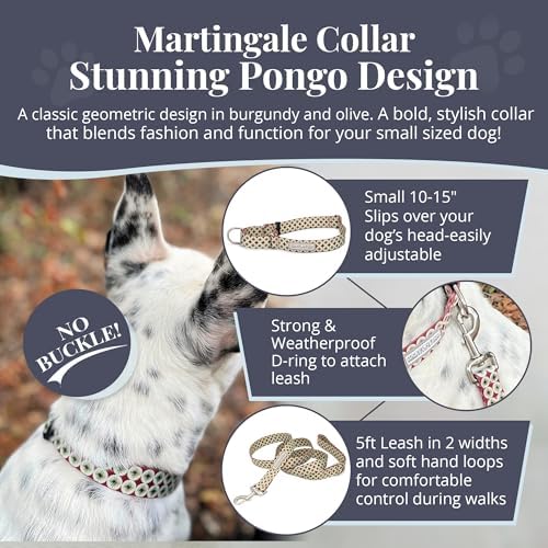 Lucky Love Dog Martingale Collar for Small Dogs No Slip Cute – Pongo, Small