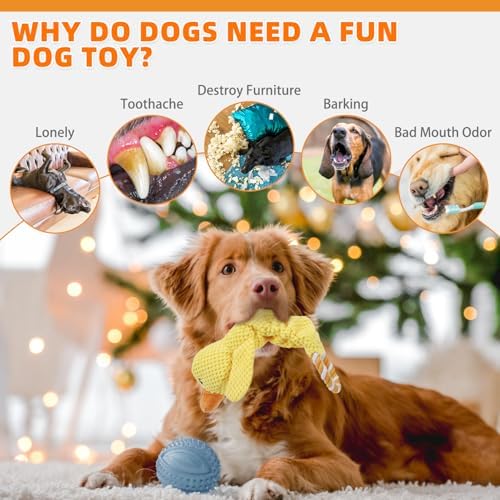 KOOLTAIL Duck Dog Toys, Tough Plush Dog Chew & Squeaky Toys with Crinkle Paper, Interactive Training & Tug of War Puppy Teething Toy for Indoor Outdoor Play, Soft Pet Toy for Small Medium Large Dogs