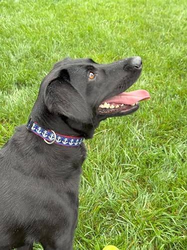Medium Dog Collar 13-19 Inch Nautical Anchor Blue Red Adjustable Collar Handmade USA