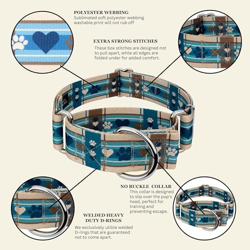 Country Brook Petz - HossFit Jr Wide Martingale Dog Collar - Plaid and Argyle Collection Featuring Charming Designs (Puppy Picnic, Extra Large)