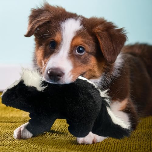 Vaulted Skulls & Co Skunk Dog Toy | Squeaky Skunk Dogs Toys | Stuffed Chew Dog Toy | Realistic Animal Dogs Toys (2)