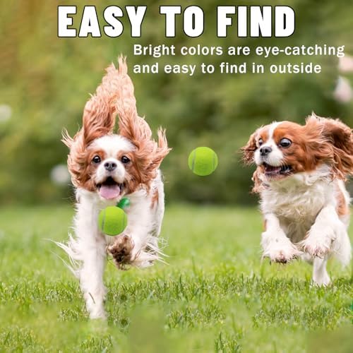 Magicorange Small Tennis Balls, 20 Pack 2 inch Tennis Balls for Dogs