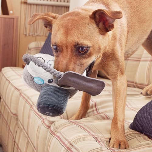 BarkBox Licka K9 Camera Dog Toy - Toy for Medium to Large Dogs