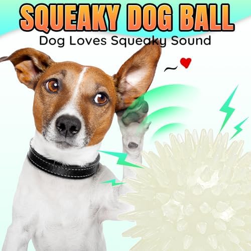 LECHONG 6-Pack Glow in The Dark Squeaky Dog Balls, Spiky Dog Toy Balls, Durable Glowing Rubber Fetching Ball for Small & Medium Dogs Nighttime Playing Indoors & Outdoors