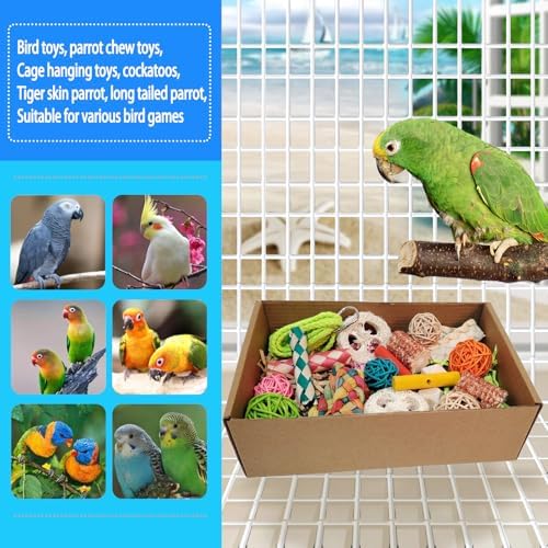 Bird Toys，Colorful Parrot Foraging and Tearing Toy Box