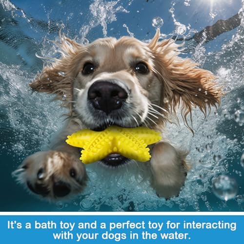 WinnerWhy 4 Pack Floating Dog Toys, Shark Dino Fish Starfish Set