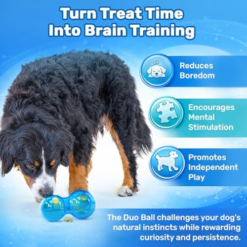 Guru Duo Ball - Interactive Enrichment Toy with Durable Rubber for Roll, Spin & Tumble Fun & Mental Stimulation - Perfect Interactive Dog Toy to Keep Dogs Busy and Occupied - Medium 7.25" Blue Dog Toy