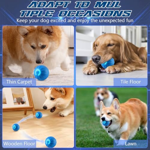 2pcs Shaky Ball Toy for Dogs, 2025 New Upgrade Automatic Moving Dog Toy Balls, USB Rechargeable Shaky Balls, Interactive Dog Ball for Small, Medium, Large Dogs(Blue+Orange)