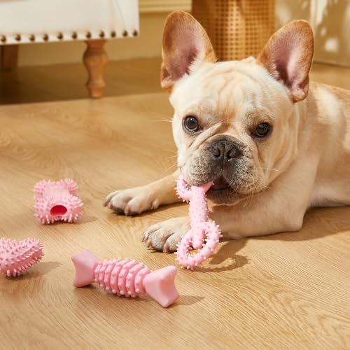 6 Pack Dog Chew Toys for Puppy Cute Dog Toys Puppy Dog Toys for Teething