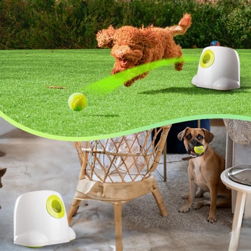 ALL FOR PAWS Automatic Dog Ball Launcher, Interactive Fetch Toy for Small to Medium Dogs, Pet Thrower Machine for Indoor & Outdoor Play, 3 Pcs 2-Inch Balls Included