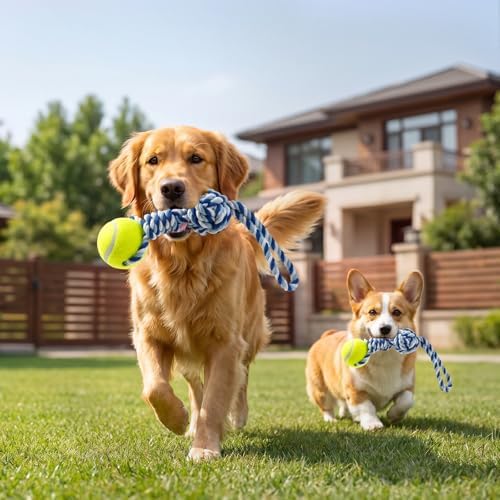 Interactive Tug of War Rope Toy Outdoor Dog Toy with 1 Knot & Tennis Ball