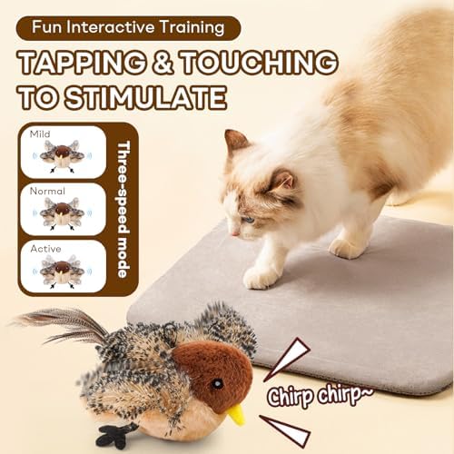 Interactive Chirping Bird Cat Toy, Rechargeable Automatic Cat Toy with Real Bird Sound and Feather Tail, Kicker Toy for Indoor Cats and Kittens