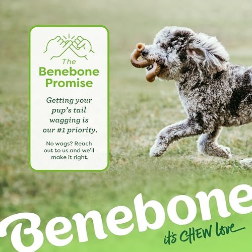 Benebone Tripe Bone Durable Dog Chew Toy for Aggressive Chewers, Medium
