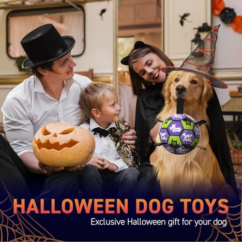 QDAN Halloween Dog Toys Balls with Straps, 8 Inch Large Dog Herding Balls